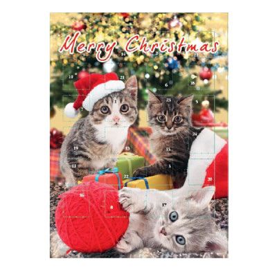 Adventskalender Kattmotiv - 75 gram