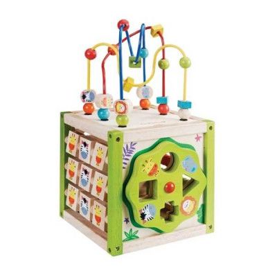 EverEarth, Aktivitetskub