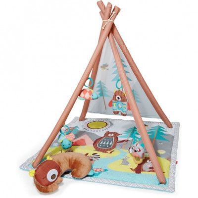 Skip Hop Camping Cubs Babygym