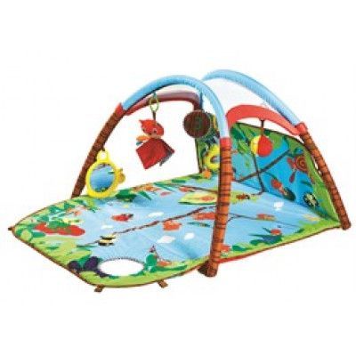 Tiny Love, Babygym Developlace