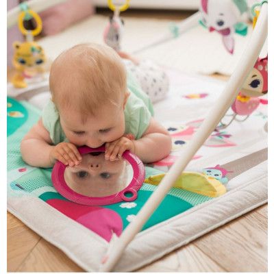 Tiny Love Tiny Princess Tales Gymini Deluxe