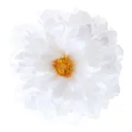 Bordsdekoration Pion Vit - 4-pack