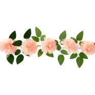 Girlang Pioner Peach