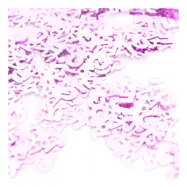 Konfetti Babyshower It's a Girl - 15 gram