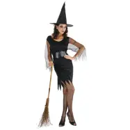Maskeraddräkt Wicked Witch Halloween