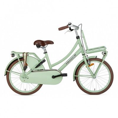 Popal - Barncykel - Daily Dutch Basic 20 Tum Grön