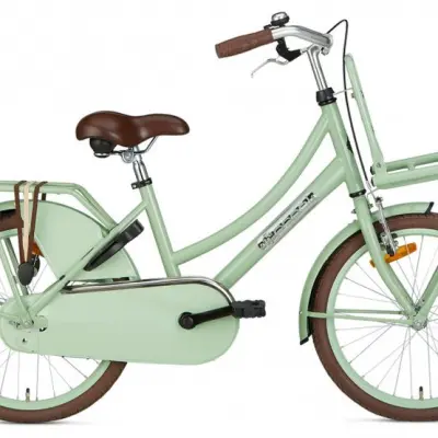 Popal - Barncykel - Daily Dutch Basic 20 Tum Grön