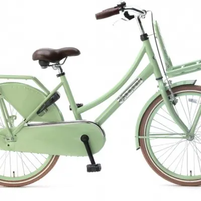 Popal - Barncykel - Daily Dutch Basic 22 Tum Grön