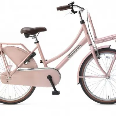 Popal - Barncykel - Daily Dutch Basic 22 Tum Salmon