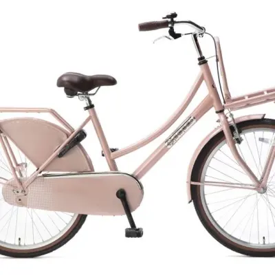 Popal - Barncykel - Daily Dutch Basic 24 Tum Salmon