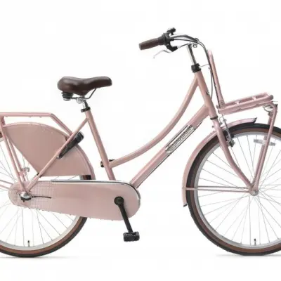 Popal - Barncykel - Daily Dutch Basic+ 26 Tum 3 Växlar Salmon