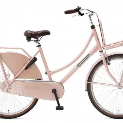 Popal - Barncykel - Daily Dutch Basic 26 Tum Salmon