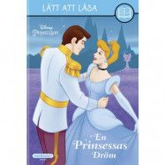 En Prinsessas dröm, lättläst bok
