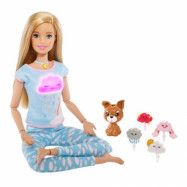 Barbie - Meditating Och Wellness Play Set 6 Delar