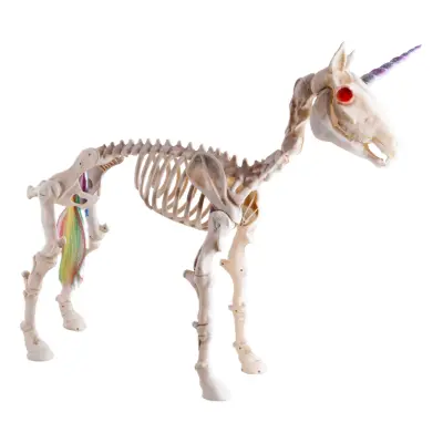 Enhörning Skelett med Ljud&Ljus