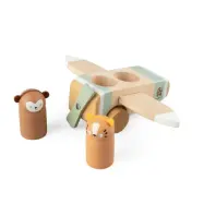 Sebra flygplan i trä, wildlife