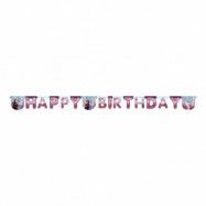 Frozen 2 Happy Birthday Banderoll