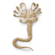 Alien Facehugger Mjukisdjur