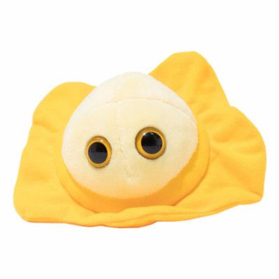 Gosedjur Könssjukdomar - Herpes