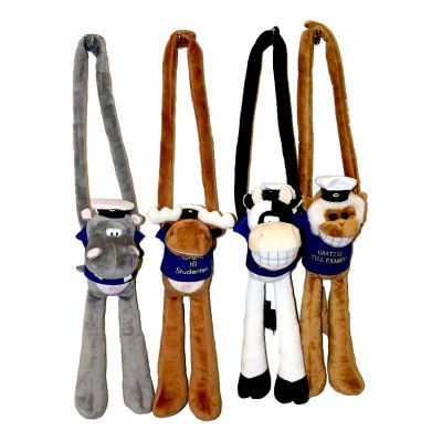 Studentdjur med Långa Armar - Apa