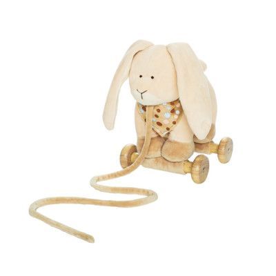 Teddykompaniet, Diinglisar Kanin på hjul