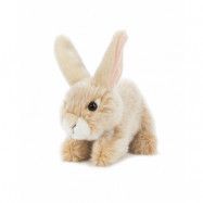 Teddykompaniet, Kaniner, beige, 18cm