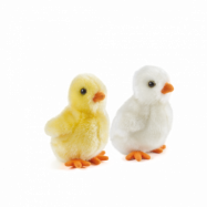 Jellycat - Fluffy Chicks