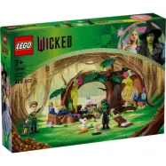 LEGO® Wicked Elphabas retreat 75687