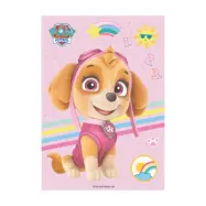 Paw Patrol Skye Ätbara Dekorationsrån