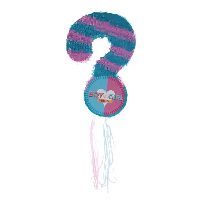 Pinata Gender Reveal