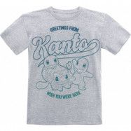 Pokémon - gaming T-shirt - Barn - Greetings From Kanto - 140 - för barn - gråmelerad