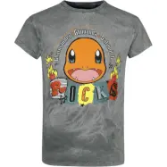 Pokémon - gaming T-shirt - Glumanda - Rocks - S M - för Herr - grå