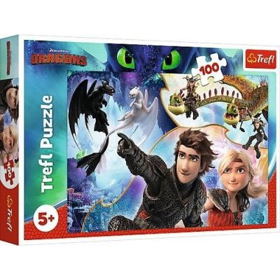 Trefl Draktränaren Pussel 100 bitar 16392