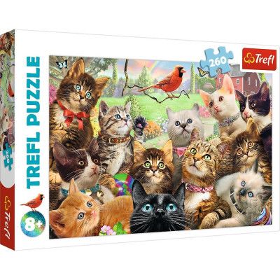 Trefl Kittens Pussel 260 bitar 13241