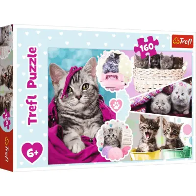 Trefl  Lovely kittens Pussel 160 bitar 15371 - Trefl -  Leksaksaffären