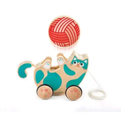 Hape Roll & Rattle Kitten