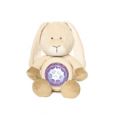 Nattlampa, Kanin Diinglisar Teddykompaniet