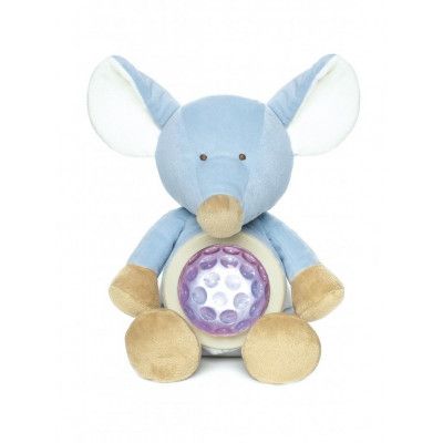 Nattlampa Mus Diinglisar