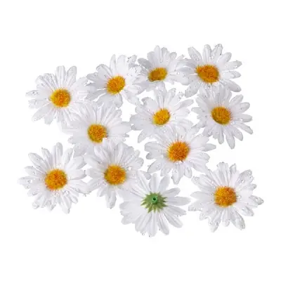 Bordsdekoration Prästkragar - 12-pack