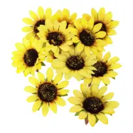 Bordsdekoration Solrosor - 12-pack