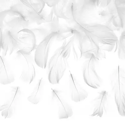 Dekorationsfjädrar Vita - 3 gram