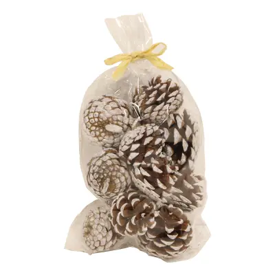 Dekorationskottar i Påse - 10-pack