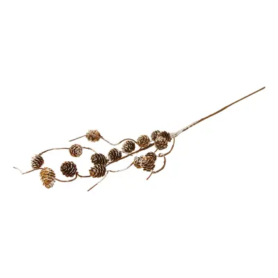 Dekorationskvist med Kottar