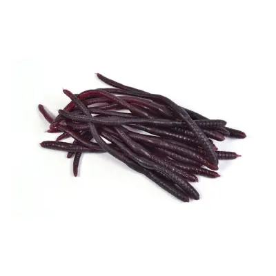 Fejkmaskar - 20-pack