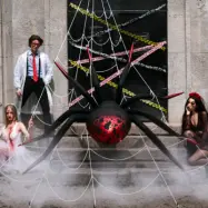 Folieballong Gigantisk Spindel