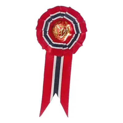 Rosett Norge - Liten, 12 cm