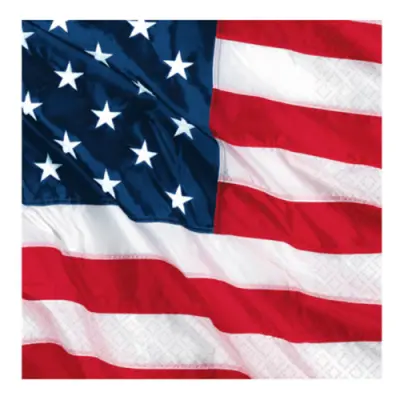 Kaffeservetter USA-flagga - 16-pack