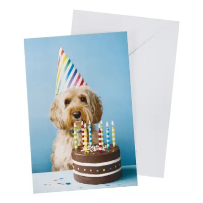 Kort med Kuvert Hund med Födelsedagstårta