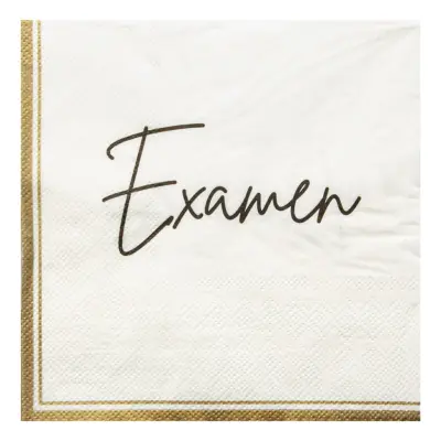 Pappersservetter Examen - 16-pack