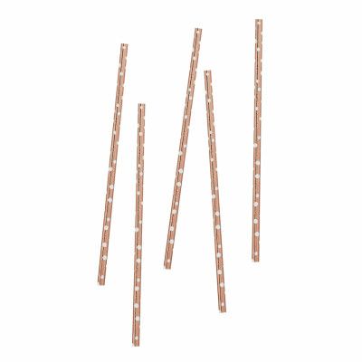 Papperssugrör Roséguld med Prickar - 20-pack